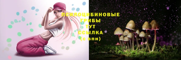a pvp Абаза