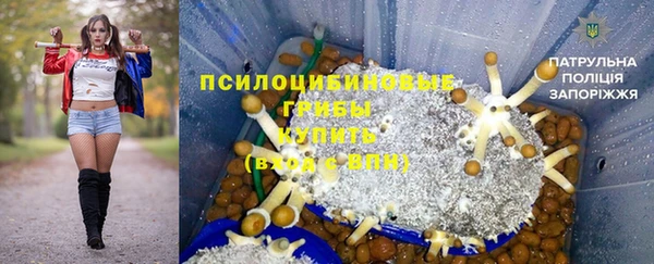 a pvp Абаза