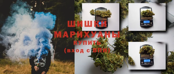 молекула духа Покровск